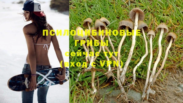 мяу мяу кристалл Новокубанск
