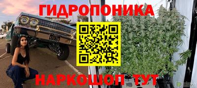дмт Рыбинск