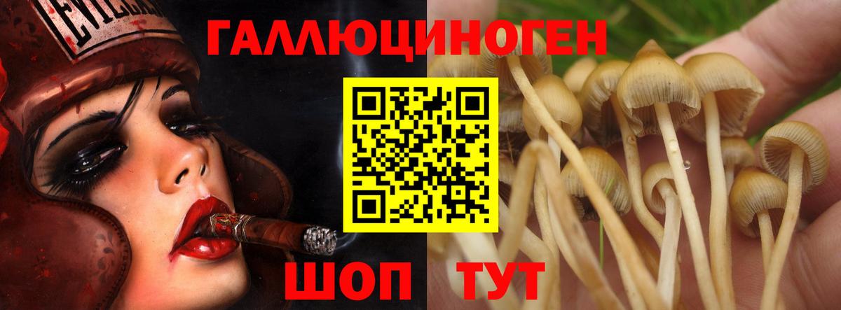 Псилоцибиновые грибы Psilocybine cubensis  Вход с VPN  Сызрань 